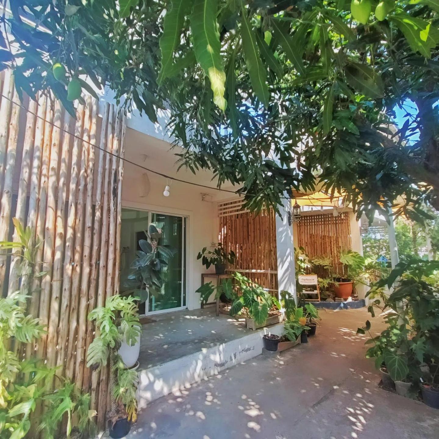 Bovii'S Home Koh Larn Room photo