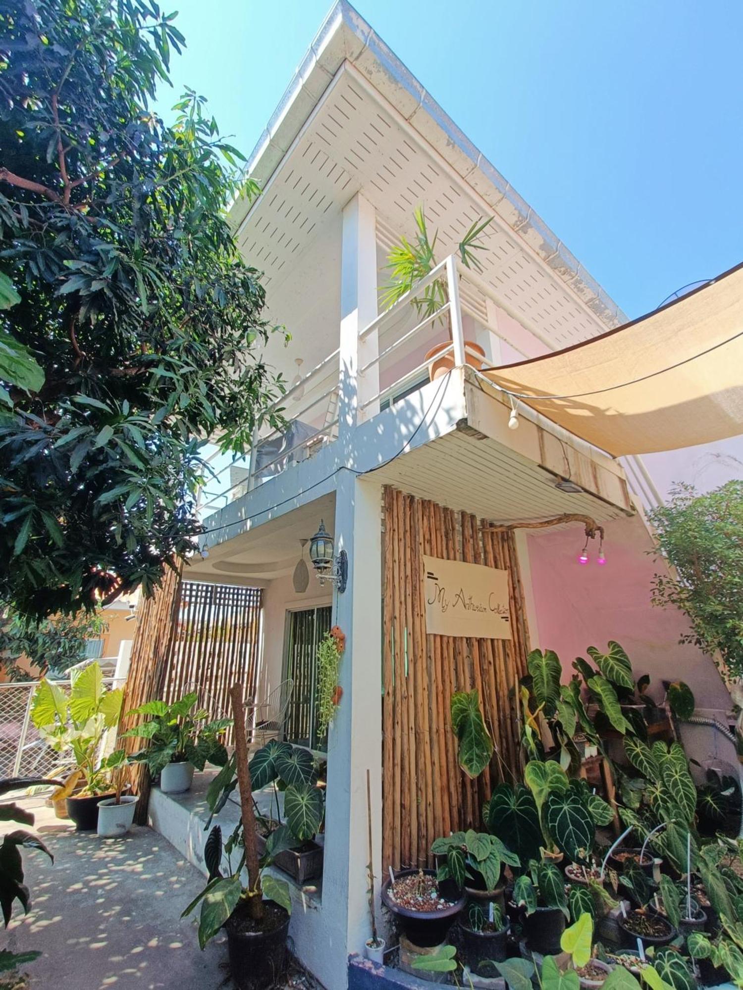 Bovii'S Home Koh Larn Room photo